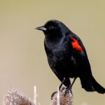 国产色在线com 3kou3qct