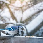 亚洲欧美日韩v在线观看不卡 gnq1j9whmj