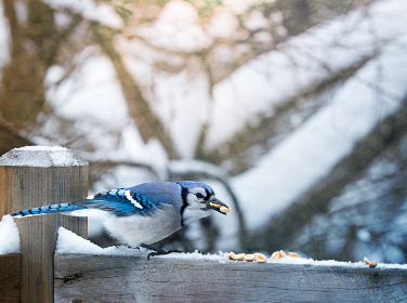 亚洲欧美日韩v在线观看不卡