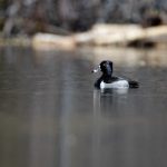 沟厕大学女沟厕嘘嘘小便 h3qq237yc