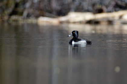 沟厕大学女沟厕嘘嘘小便