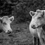 国产色视频网站免费 hb0q8ay