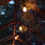 美女六月丁香婷婷图片 hqn4jg7gvp