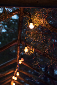 美女六月丁香婷婷图片