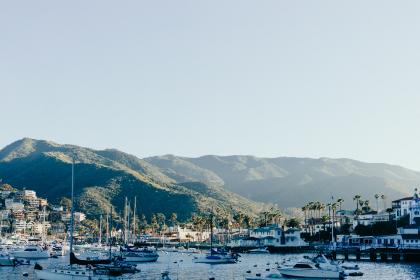 seo短视频网页入口引流：提升网站流量的有效策略与技巧解析