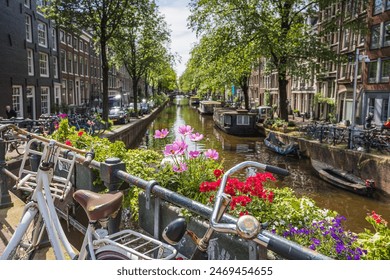 ZookeeperK9能播放的：探索多种音频格式与精彩内容